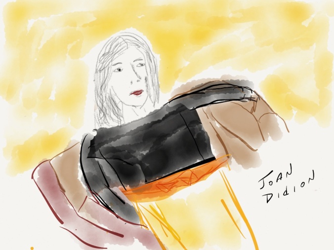 Joan Didion.  illustration 2013 jpbohannon  based on portrait by Lisa Congdon for Reconstructionists project