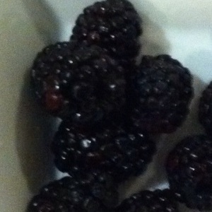 Blackberries in a white bowl.
